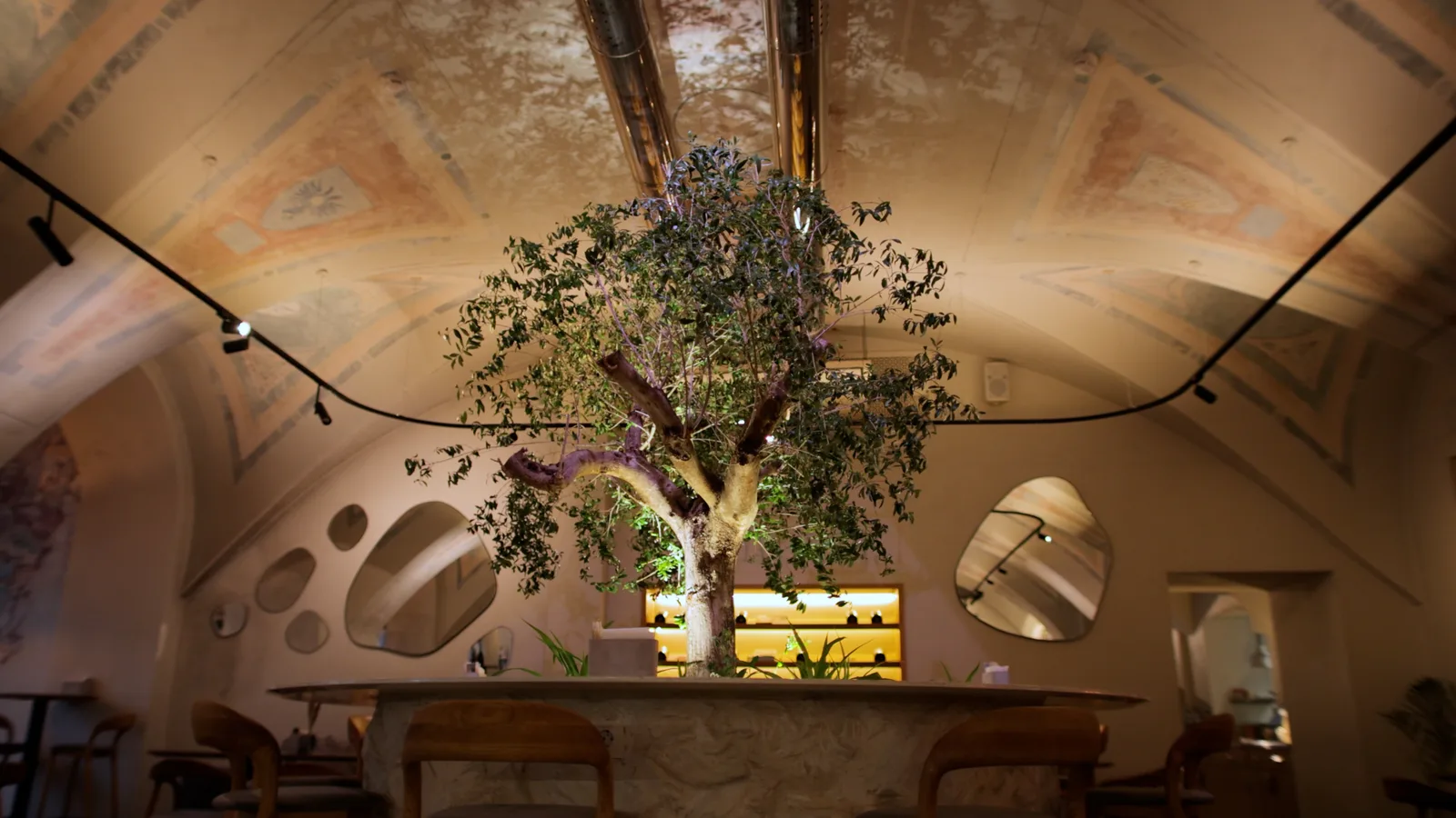 Casa Del Caffe